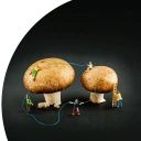 Gemeinsam statt einsam