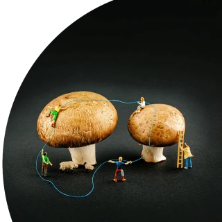 Gemeinsam statt einsam