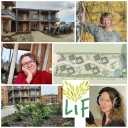 LiF-Geschichten: Die wichtigsten Faktoren für unseren gemeinsamen Erfolg