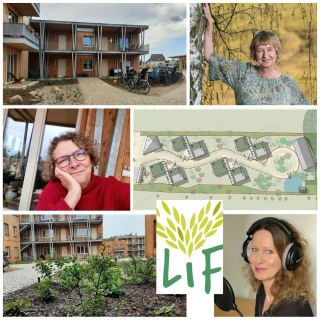 LiF-Geschichten: Die wichtigsten Faktoren für unseren gemeinsamen Erfolg