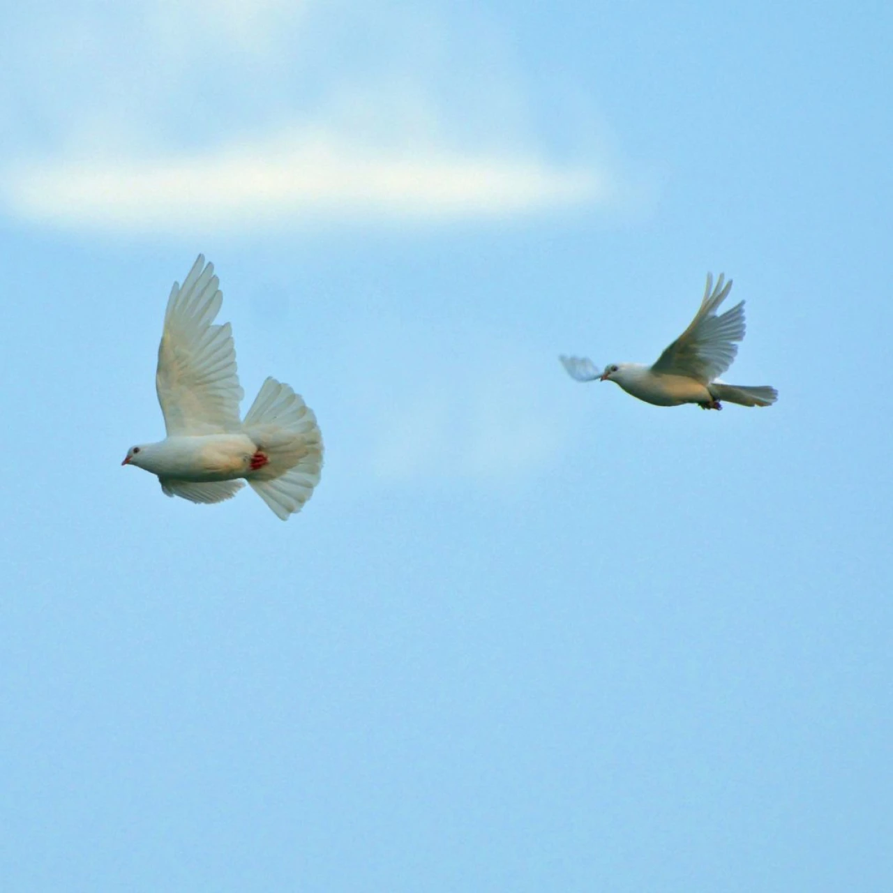 Überlegungen zur sogenannten 