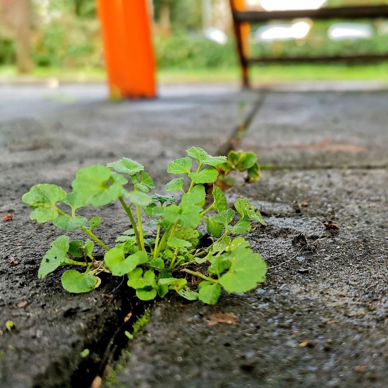 Widerstand als Ressource - wie Ärger den Weg weist