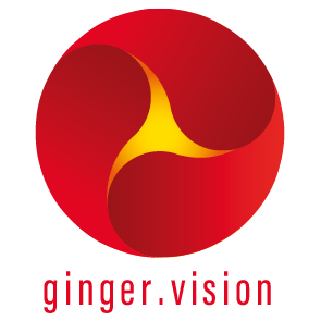 ginger.vision GmbH