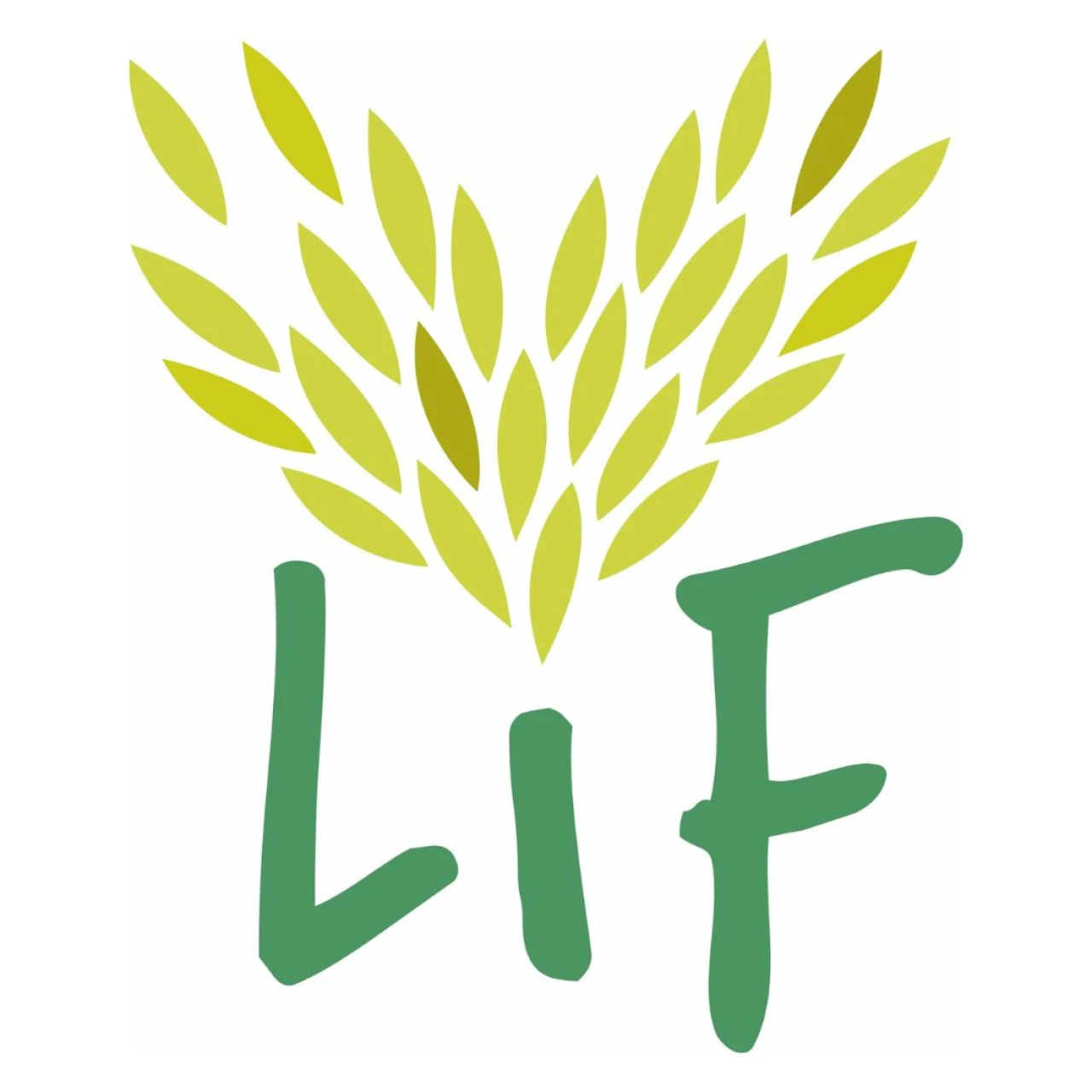 LiF - Leben im Fläming eG