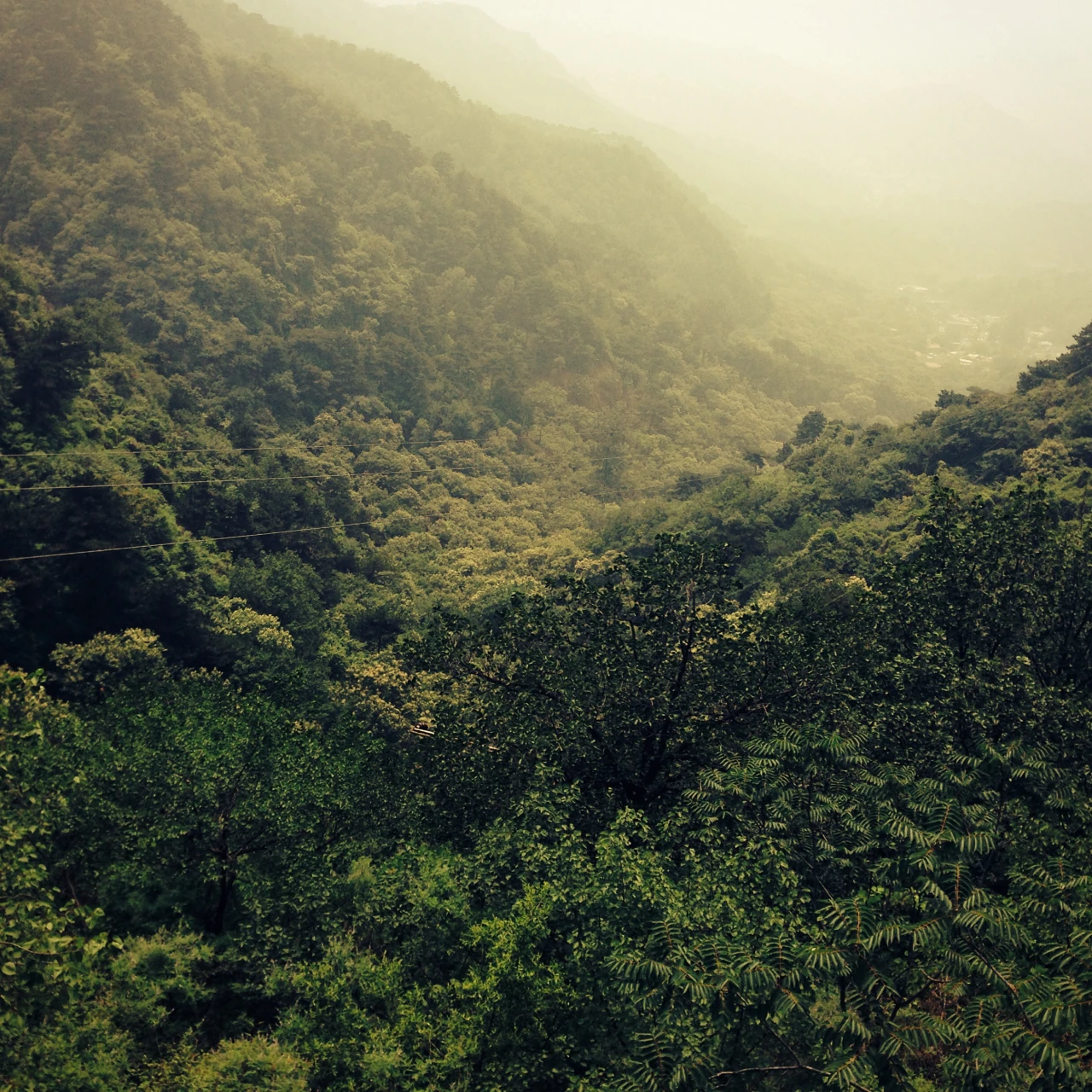 Die EUDR in der Praxis