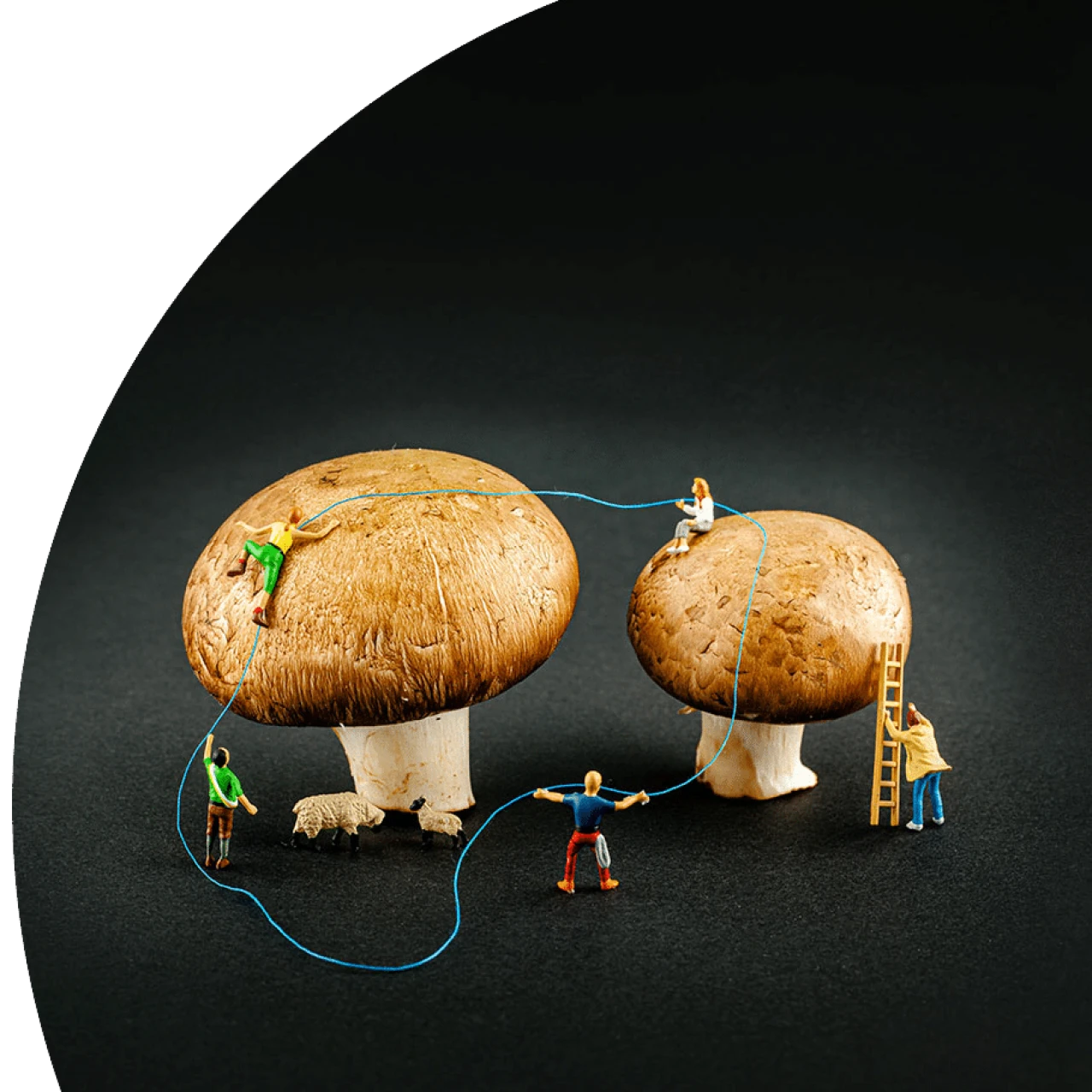 Gemeinsam statt einsam - über Unternehmensgrenzen hinweg wirken