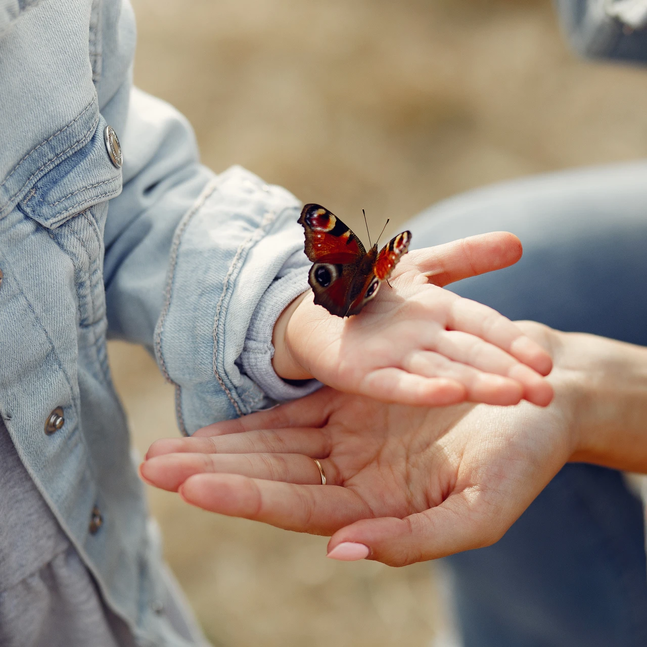 Gründung Biodiversitätsbündnis
