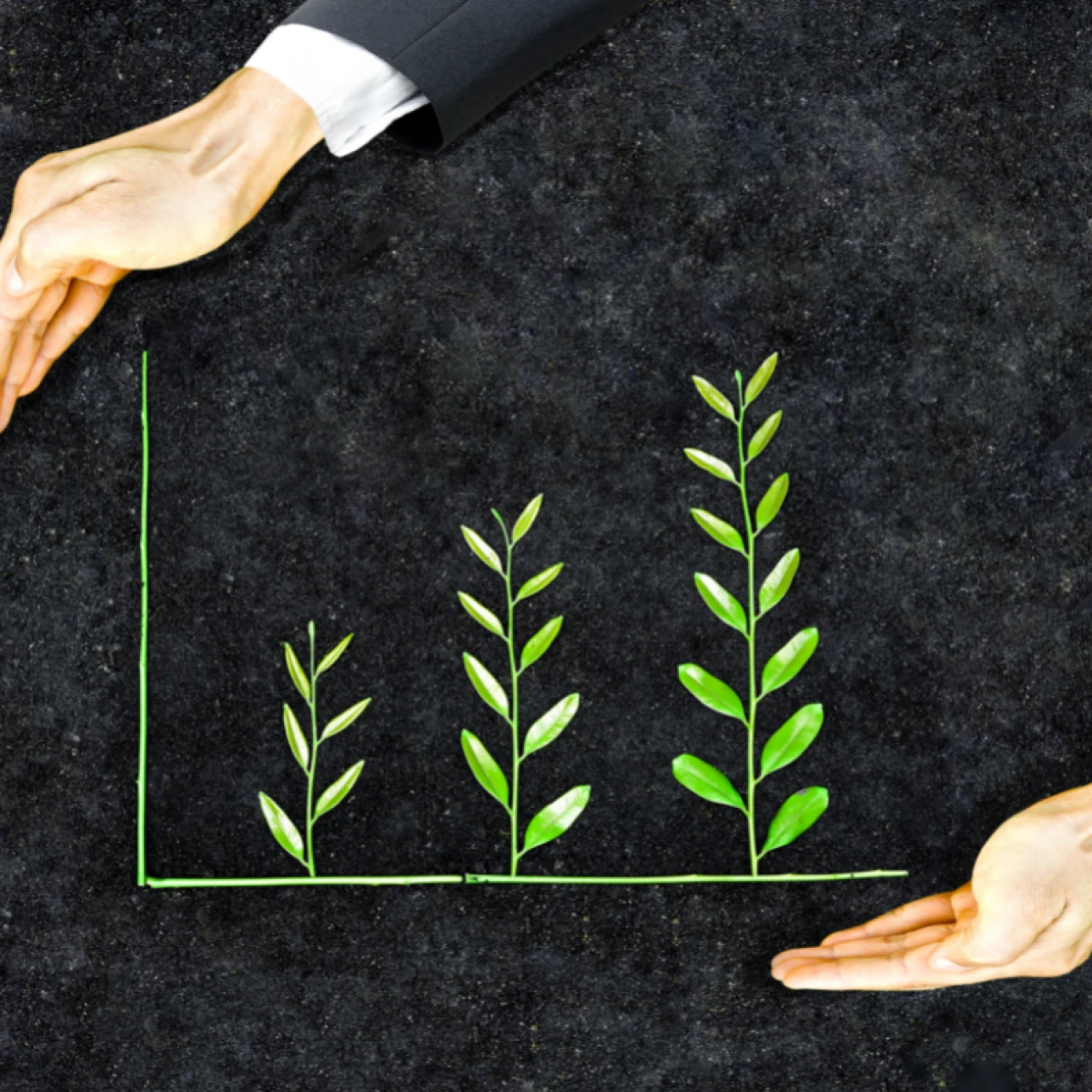 Info-Call: Peergroup Gemeinwohlökonomie