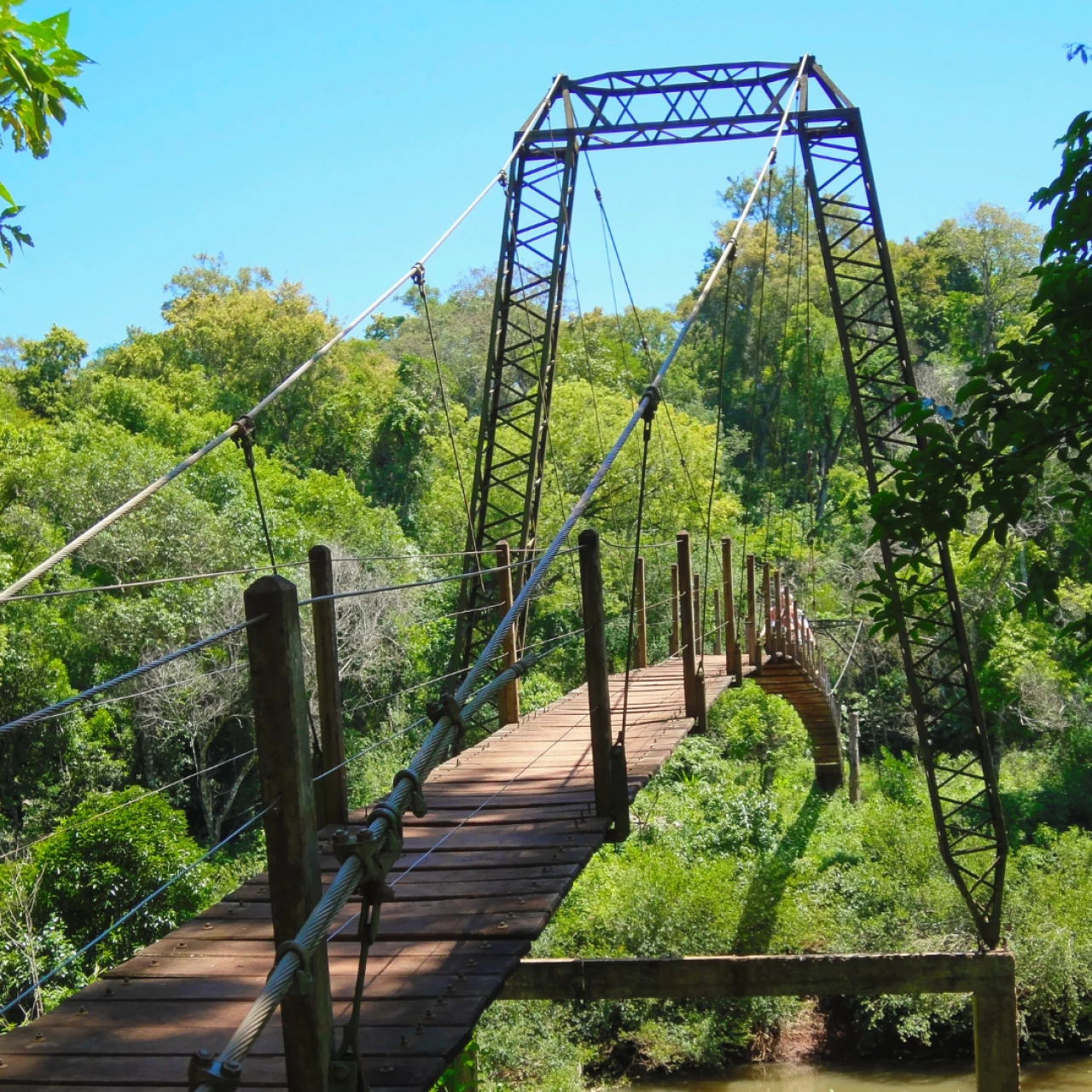 Online-Workshop: Zukunft für Senior Social Entrepreneure