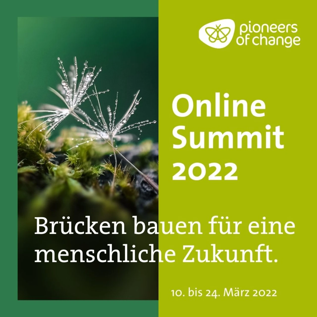 Pioneers of Change Summit