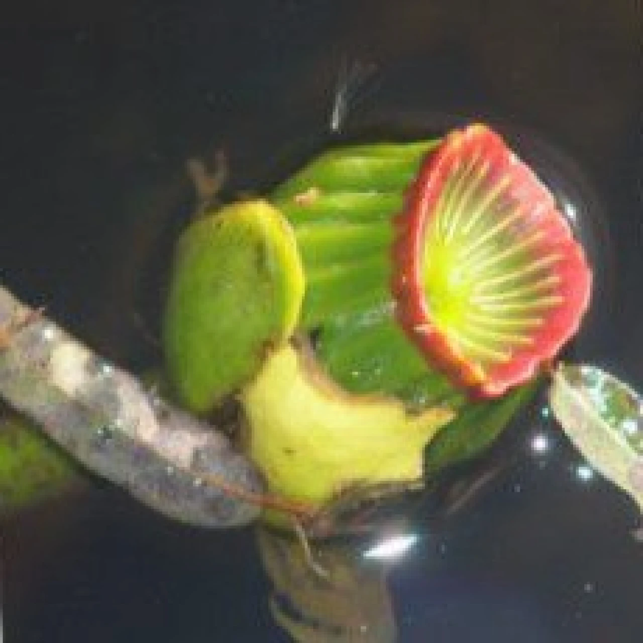 Würde Salon und Selbstwirksamkeitslabor