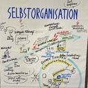 Zoom-Talk: Skalierung der Selbstorganisation